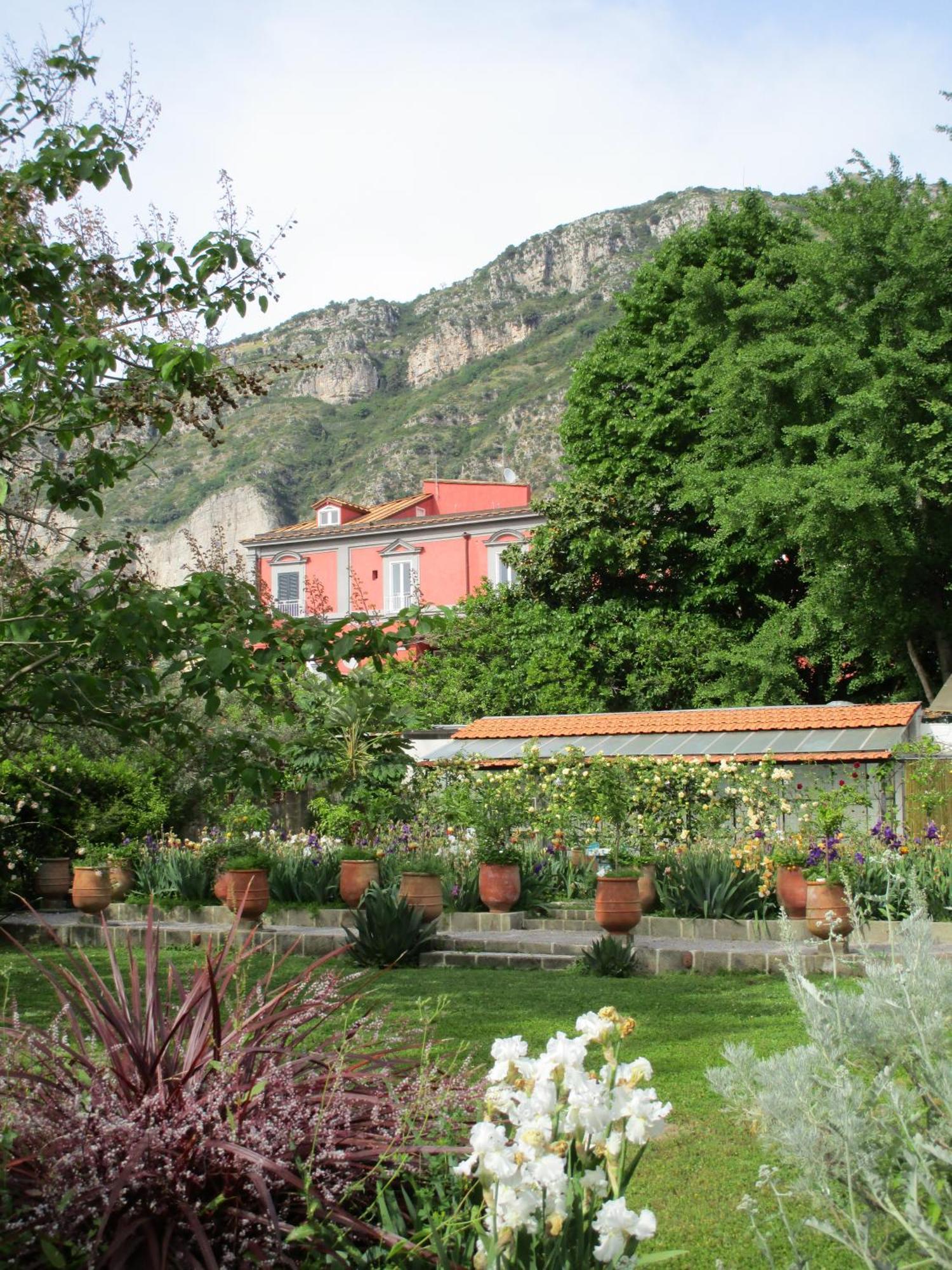 La Gallina Felice B&B Meta Exteriér fotografie